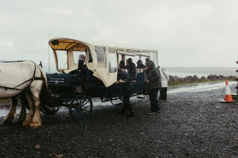 Horse-drawn carriage tour in rainy County Galway, Ireland, showcasing Irish landscape.